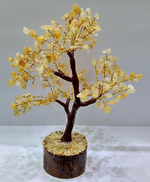 AGATE TREE