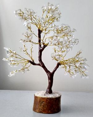 AGATE TREE